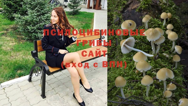 jwh Зеленокумск