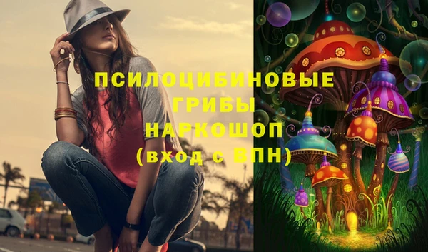 ГАЛЛЮЦИНОГЕННЫЕ ГРИБЫ Зерноград