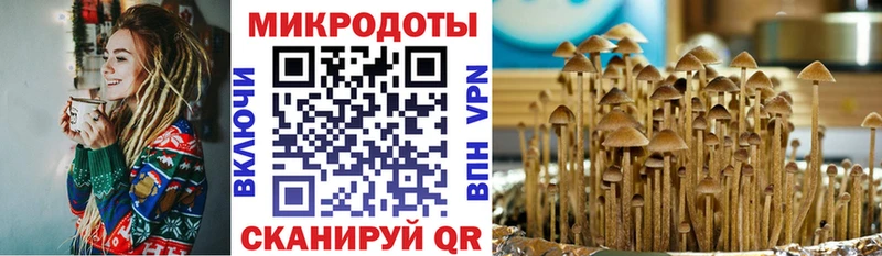 Купить закладки  Ковылкино  Галлюциногенные грибы прущие грибы 